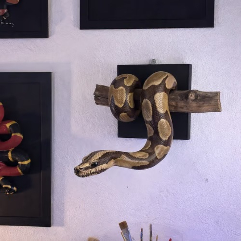 Yeni Altın Top Piton Duvar San - Resin Art Wall Decor incelemesi ve fiyatı